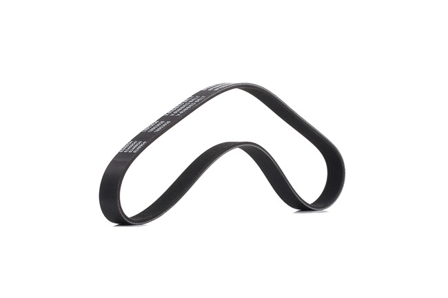 PACEMAN Serpentine belt 305P0048P RIDEX PLUS
