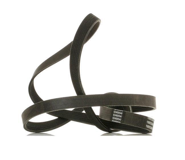 RIDEX PLUS Correia trapezoidal estriada (305P0091P) para VAUXHALL Vectra Mk II (C) Carrinha (Z02) 3.0 CDTi (135 KW / 184 CV / de 2005)