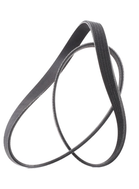 OEM 12634319 RIDEX PLUS Cinghia servizi 305P0176P per FIAT, BMW, FORD, OPEL, HYUNDAI