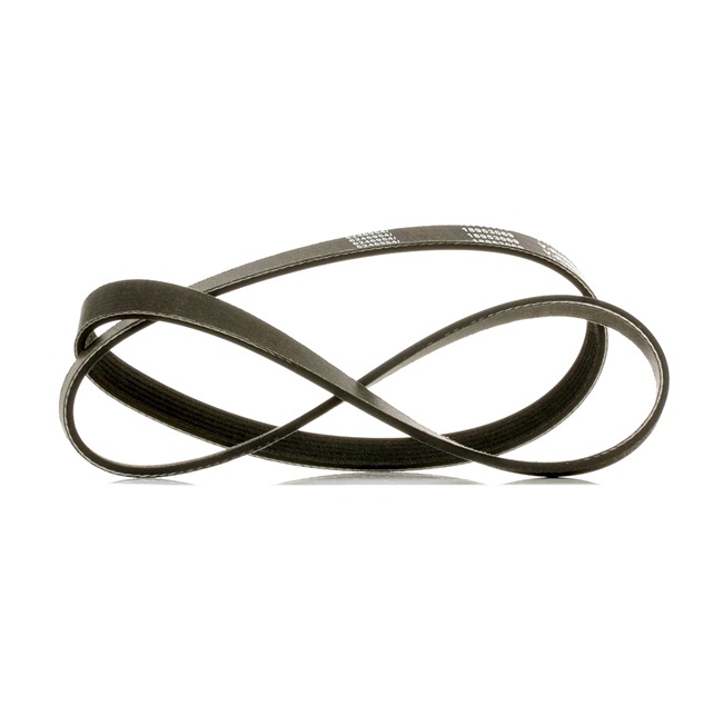 OEM 7700743549 RIDEX PLUS Courroie Poly-V 305P0242P pour RENAULT, PEUGEOT, CITROЁN, BMW, AUDI