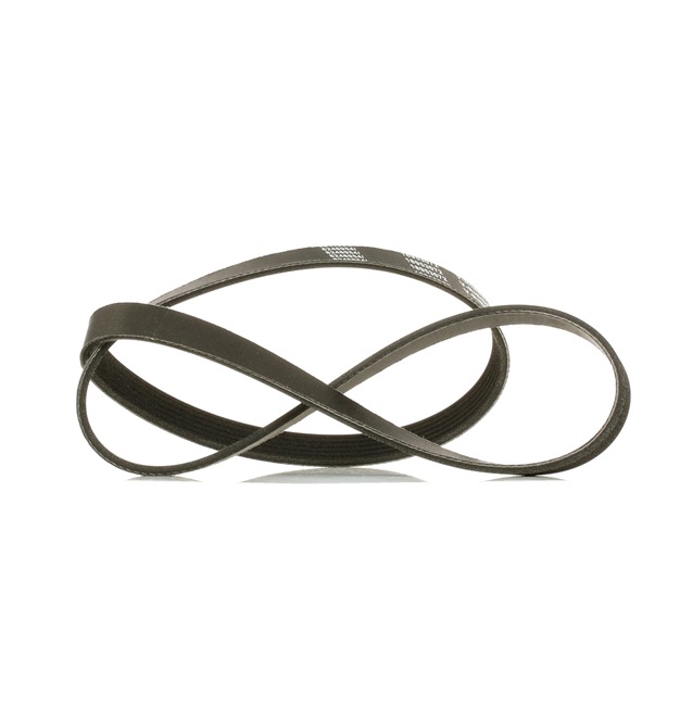 OEM 6198309 RIDEX PLUS Serpentine belt 305P0289P for FORD, VOLVO, FIAT, MITSUBISHI