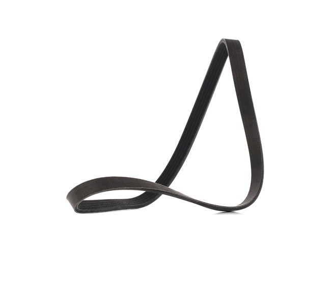 LEGEND Courroie Poly-V 305P0148P RIDEX PLUS