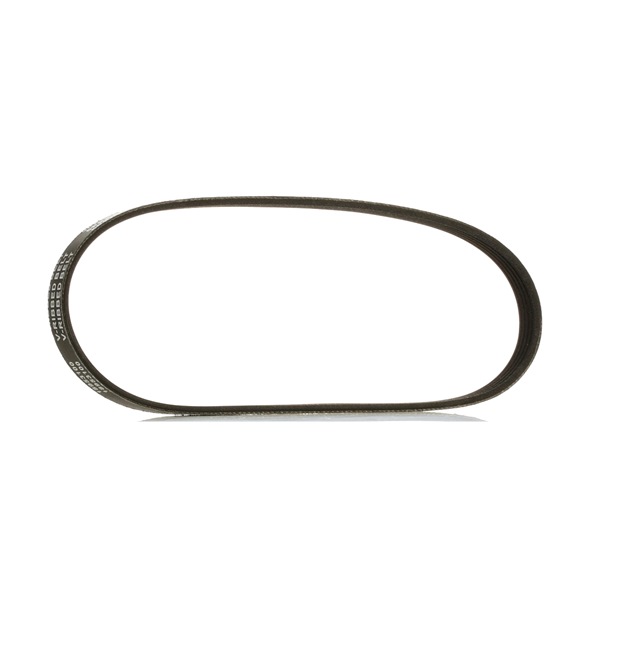 OEM LF5015908A RIDEX PLUS Courroie Poly-V 305P0117P pour MAZDA