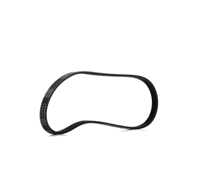RIDEX PLUS Correia do alternador 305P0220P