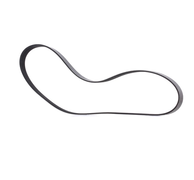 OEM 11720JD00C RIDEX PLUS Moniurahihna 305P0489P varten NISSAN, RENAULT, DACIA, INFINITI, RENAULT TRUCKS