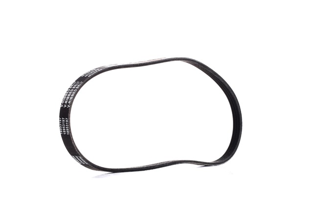 Multiriem (305P0226P) van RIDEX PLUS Voor RENAULT CLIO II (BB0/1/2_, CB0/1/2_) 1.2 (55 KW / 75 PK / Van 2001)