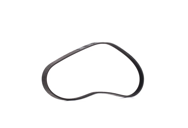 SAPPORO Correia trapezoidal estriada 305P0375P RIDEX PLUS