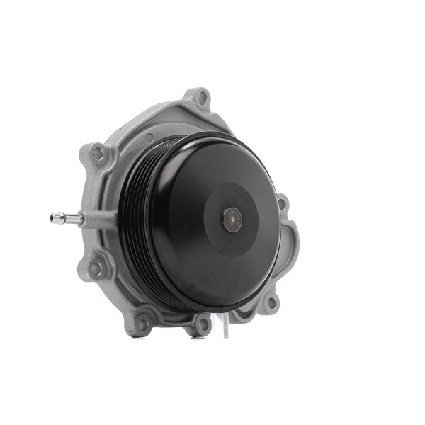 OEM 6512002100 RIDEX PLUS Bomba de agua 1260W0235P para MERCEDES-BENZ, MITSUBISHI, INFINITI