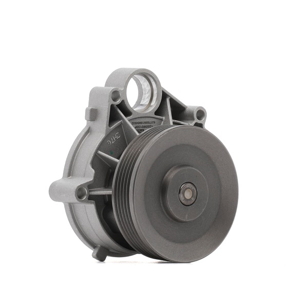 OEM 2246961 RIDEX PLUS Water pump 1260W0133P for BMW, MINI