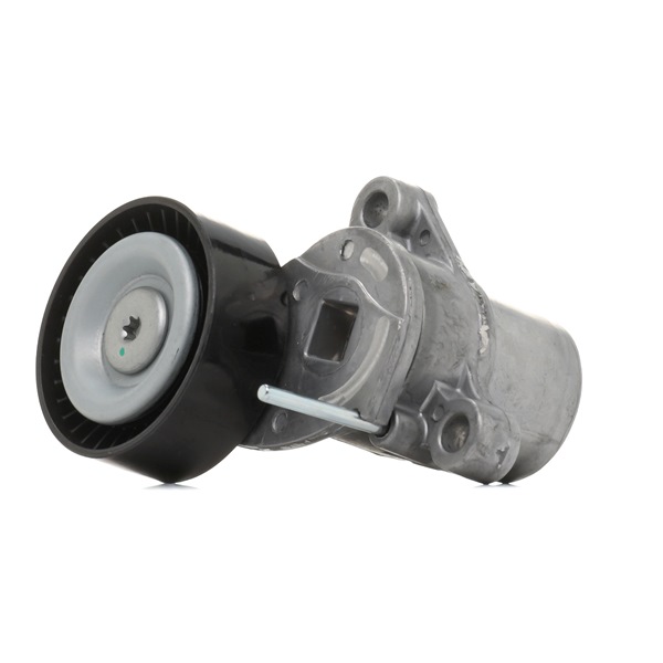 OEM 1761930 RIDEX Tensioner pulley 310T0667 for FORD, FORD USA, AC