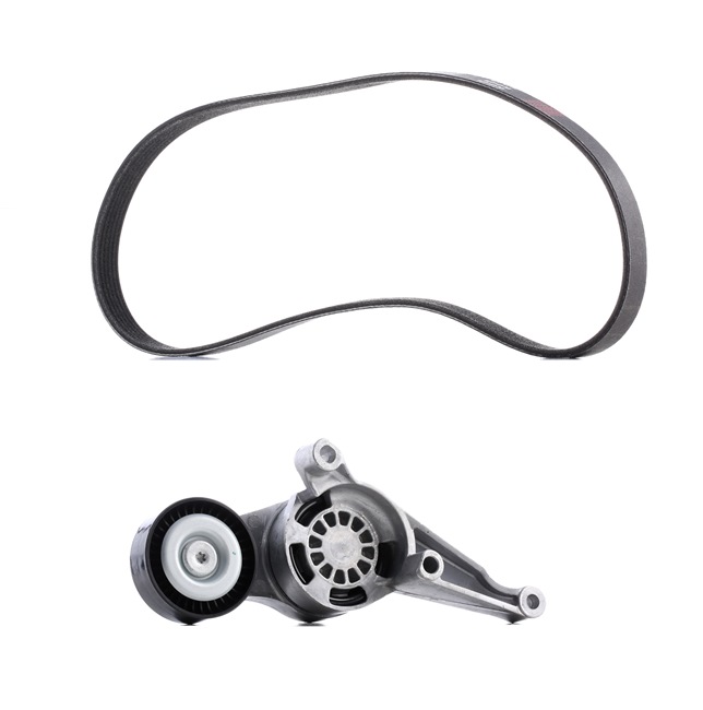 RIDEX PLUS Juego de correas trapeciales poli V (542R0007P) para VW Passat B6 Sedán (3C2) 2.0 TDI (103 KW / 140 CV / de 2005)