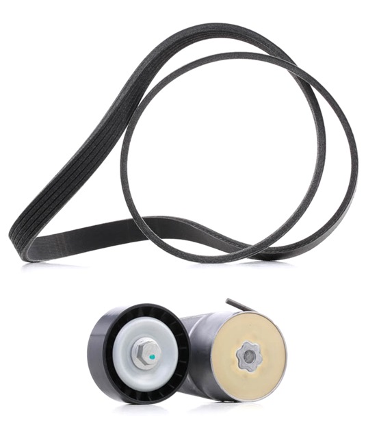 OEM 55195023 RIDEX PLUS Jogo de correias trapezoidais estriadas 542R0016P para OPEL, FORD, FIAT, ALFA ROMEO, JEEP