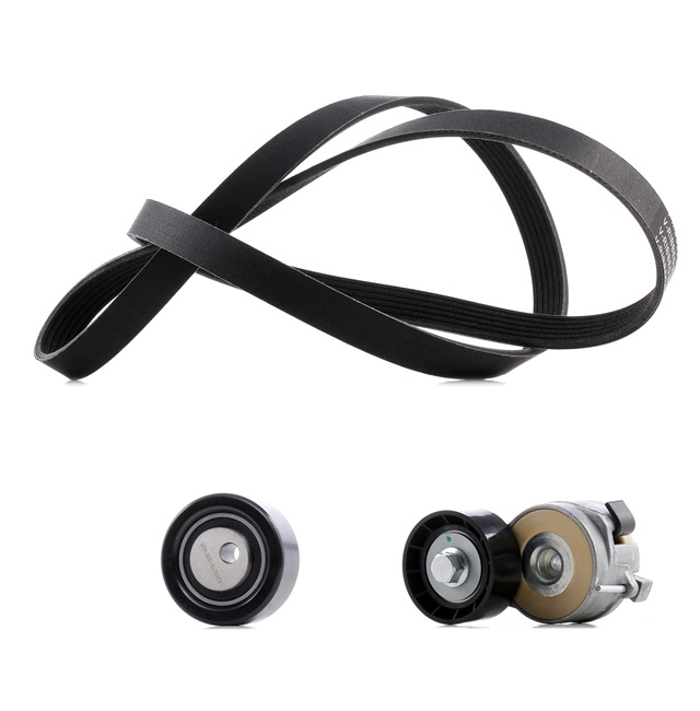 Poly V-riem set (542R0048P) van RIDEX PLUS Voor CITROËN Jumpy MPV (VF7) 1.6 HDi 16V (66 KW / 90 PK / Van 2007)