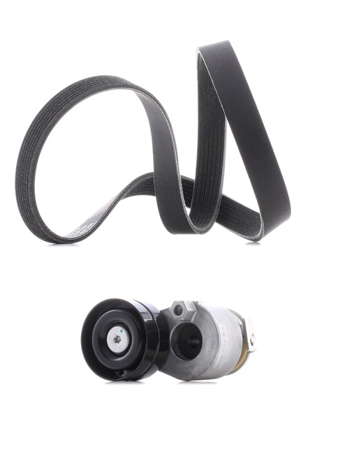 RIDEX PLUS Jeu de courroies trapézoïdales à nervures (542R0029P) pour RENAULT Megane II Coupé-Cabriolet (EM, EM0/1) 1.9 dCi (96 KW / 131 CH / de 2005)