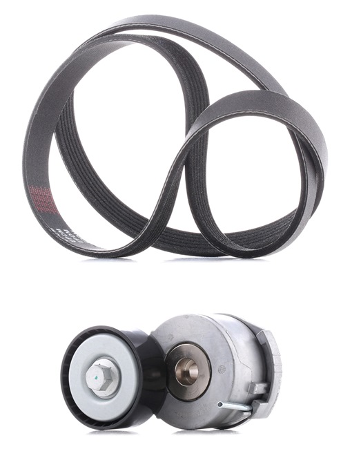 OEM 9M5Q6A228BA RIDEX PLUS Kileremsett 542R0125P for FORD