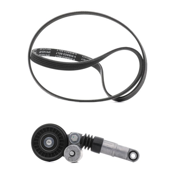 Poly V-riem set (542R0069P) van RIDEX PLUS Voor AUDI A6 Avant (4B5, C5) 1.9 TDI (96 KW / 130 PK / Van 2001)