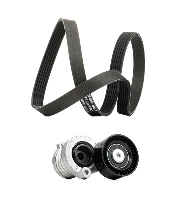 OEM 117206096R RIDEX PLUS Moniurahihnasarja 542R0108P varten RENAULT, DACIA, RENAULT TRUCKS