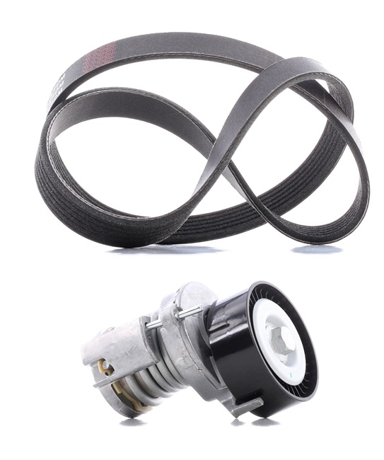 OEM 030145299C RIDEX PLUS Kileremssæt 542R0134P med VW, BMW, AUDI, SKODA, SEAT