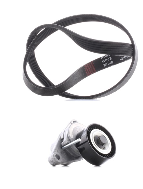 OEM 5750PL RIDEX PLUS Drivremssats 542R0006P för VW, AUDI, TOYOTA, RENAULT, PEUGEOT