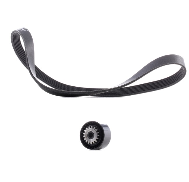OEM 7701478934 RIDEX PLUS Kileremsett 542R0017P for RENAULT, DACIA, RENAULT TRUCKS, AC