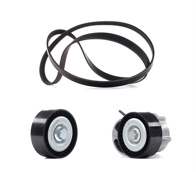OEM 044903137R RIDEX PLUS  Keilrippenriemensatz 542R0110P für VW, AUDI, SKODA, TOYOTA, SEAT