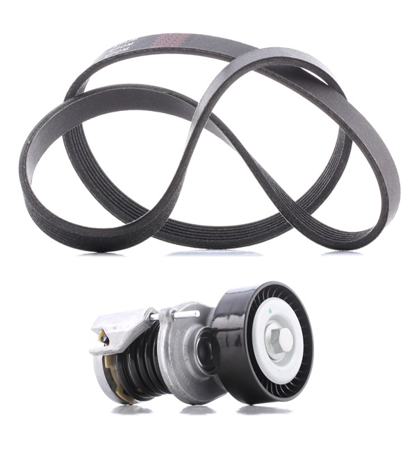 Poly V-riem set (542R0041P) van RIDEX PLUS Voor SKODA Fabia II Combi (545) 1.9 TDI (77 KW / 105 PK / Van 2007)