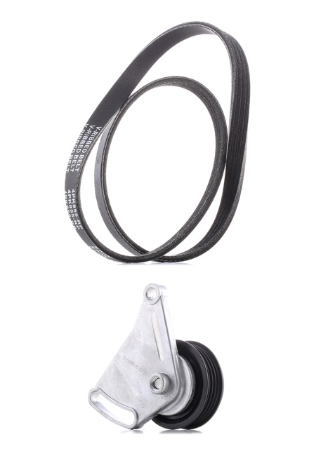 RIDEX PLUS Keilrippenriemensatz (542R0026P) für VW PASSAT Variant (3B6) 1.9 TDI 4motion (96 KW / 130 PS / ab 2000)