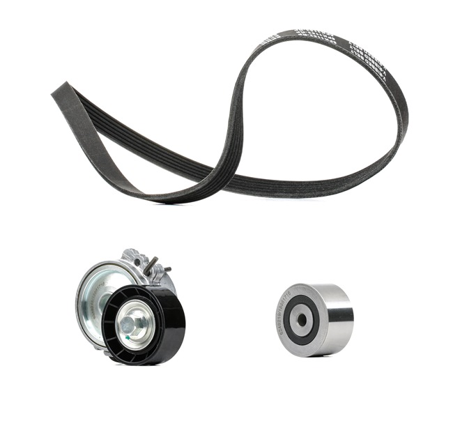 OEM 5750GX RIDEX PLUS Kileremsett 542R0052P for VW, BMW, MERCEDES-BENZ, VOLVO, FORD