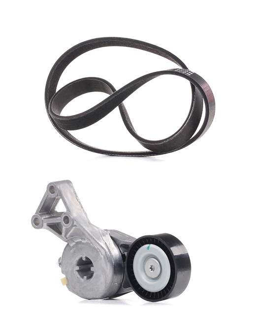 RIDEX PLUS Juego de correas trapeciales poli V (542R0045P) para VW Passat B6 Sedán (3C2) 1.6 (75 KW / 102 CV / de 2005)