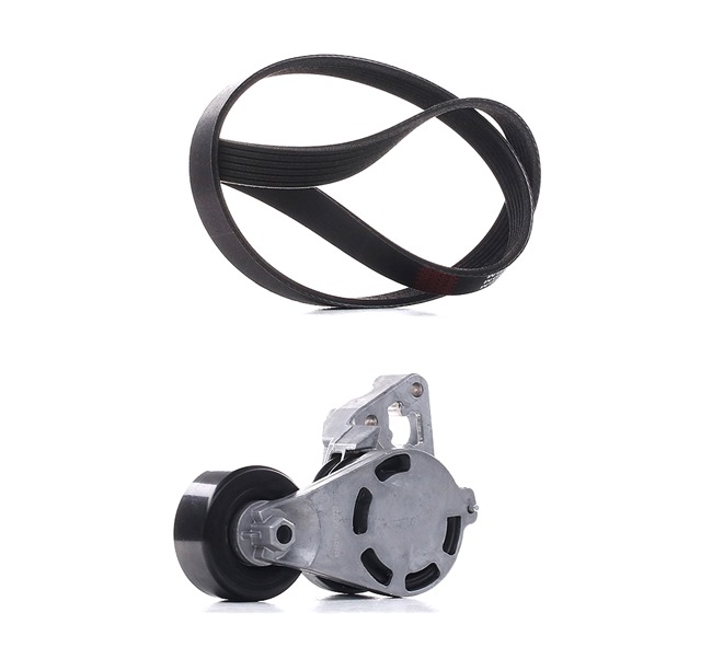 Poly V-riem set (542R0195P) van RIDEX PLUS Voor AUDI A2 (8Z0) 1.4 TDI (66 KW / 90 PK / Van 2003)