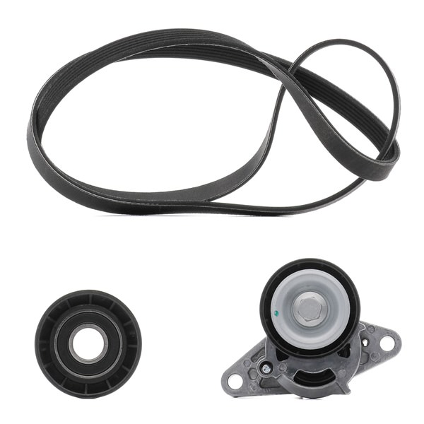 RIDEX PLUS Kit Cinghie Poly-V (542R0082P) per RENAULT Scénic I (JA0/1_, FA0_) 2.0 16V (JA1B, JA1D, JA0C) (102 KW / 139 CV / dal 2000)