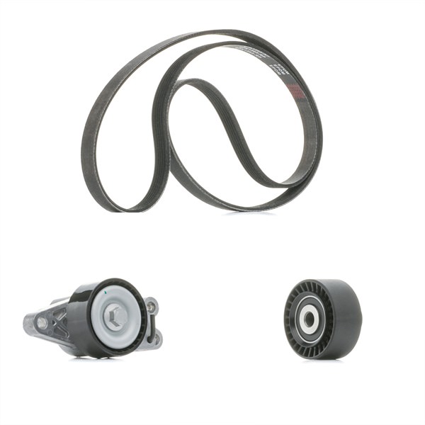 Poly V-riem set (542R0133P) van RIDEX PLUS Voor PEUGEOT 206 Hatchback (2A/C) 1.6 (81 KW / 110 PK / Van 2005)