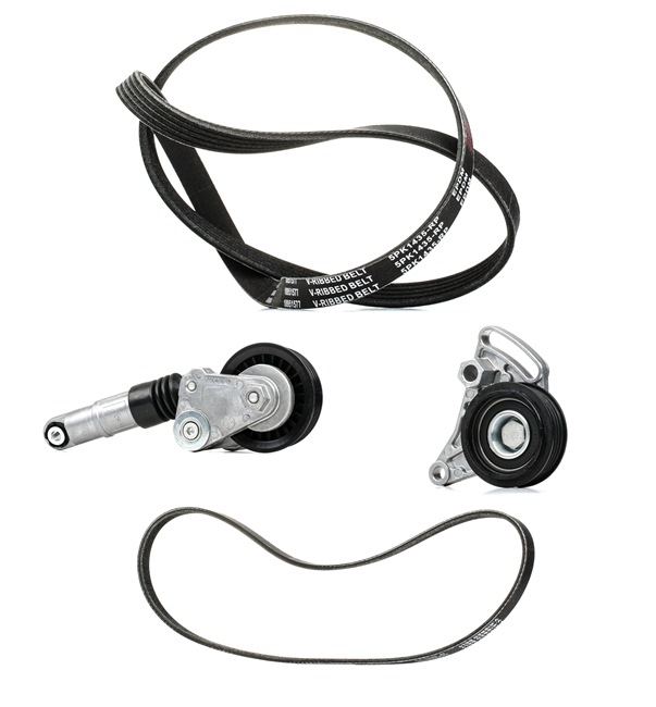 OEM 977132D100 RIDEX PLUS Moniurahihnasarja 542R0083P varten VW, BMW, AUDI, NISSAN, PEUGEOT