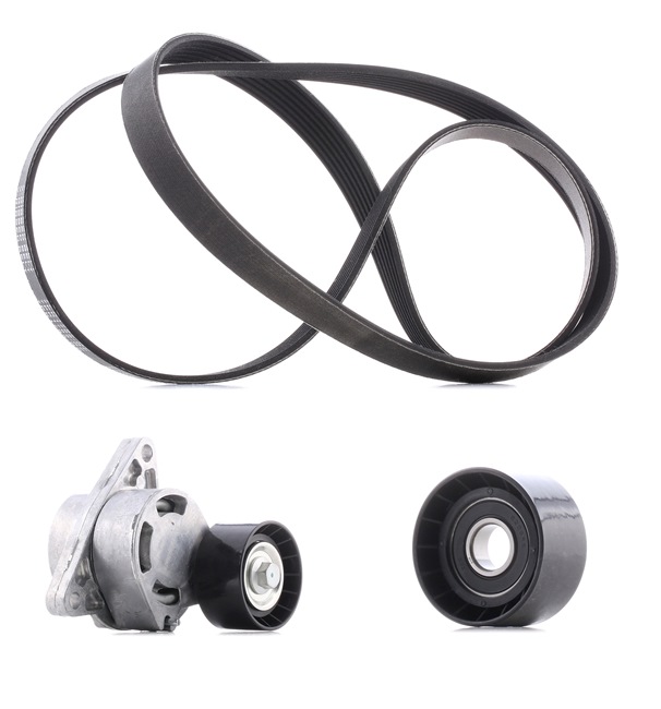 Poly V-riem set (542R0282P) van RIDEX PLUS Voor OPEL Vivaro A Flatbed Vrachtwagen / Chassis (X83) 2.5 CDTI (107 KW / 146 PK / Van 2006)