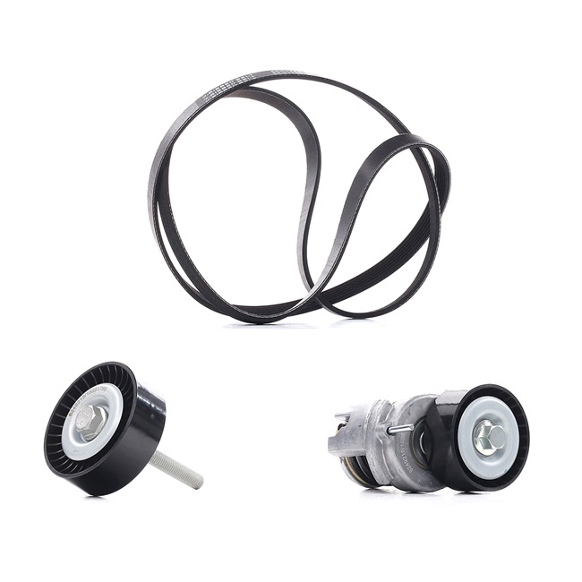 RIDEX PLUS Juego de correas trapeciales poli V (542R0281P) para VW Passat B6 Sedán (3C2) 1.6 FSI (85 KW / 115 CV / de 2005)