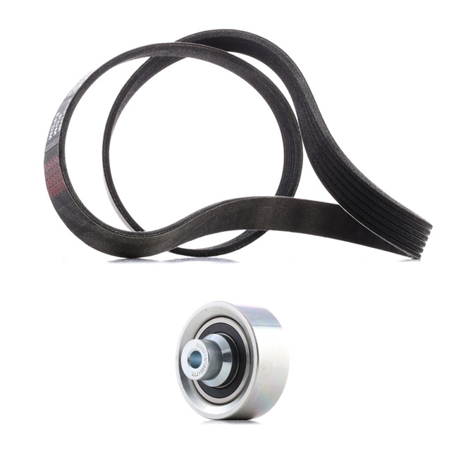 OEM 1613844580 RIDEX PLUS Moniurahihnasarja 542R0003P varten OPEL, PEUGEOT, CITROЁN, DS