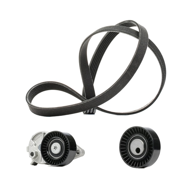 OEM 11281738061 RIDEX PLUS V-Ribbed Belt Set 542R0388P for BMW, MINI