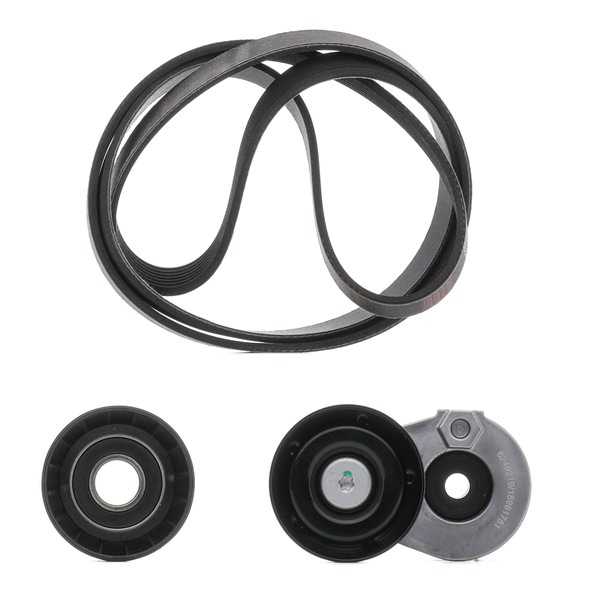 OEM 7701479099 RIDEX PLUS Jogo de correias trapezoidais estriadas 542R0055P para RENAULT, DACIA