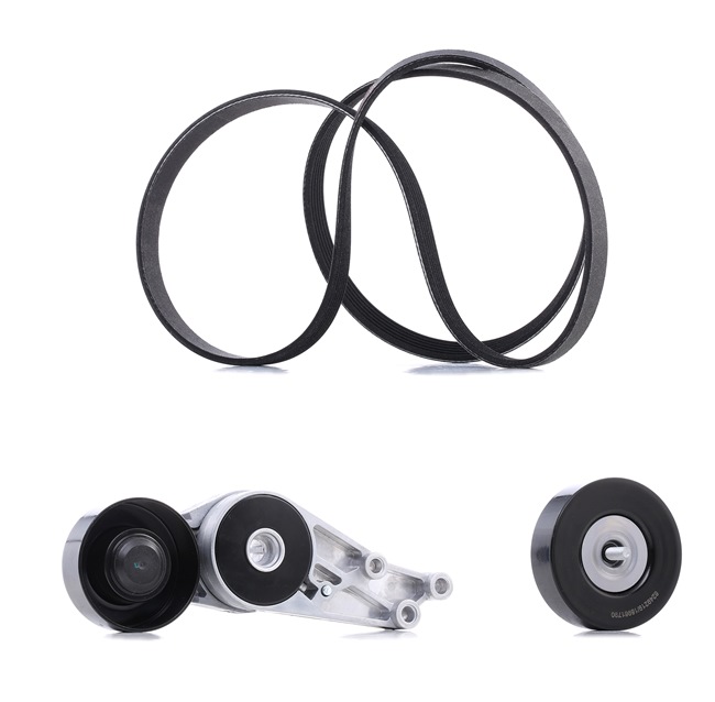 Poly V-riem set (542R0594P) van RIDEX PLUS Voor AUDI A4 Avant (8E5, B6) 1.8 T (120 KW / 163 PK / Van 2002)