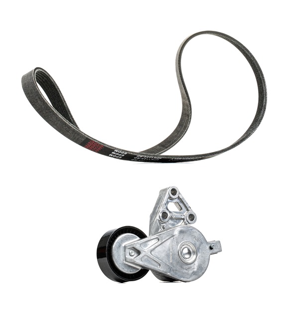 Poly V-riem set (542R0193P) van RIDEX PLUS Voor VW Golf IV Variant (1J5) 1.9 TDI (110 KW / 150 PK / Van 2001)