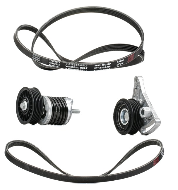 OEM 977132D100 RIDEX PLUS Moniurahihnasarja 542R0060P varten VW, BMW, AUDI, NISSAN, PEUGEOT