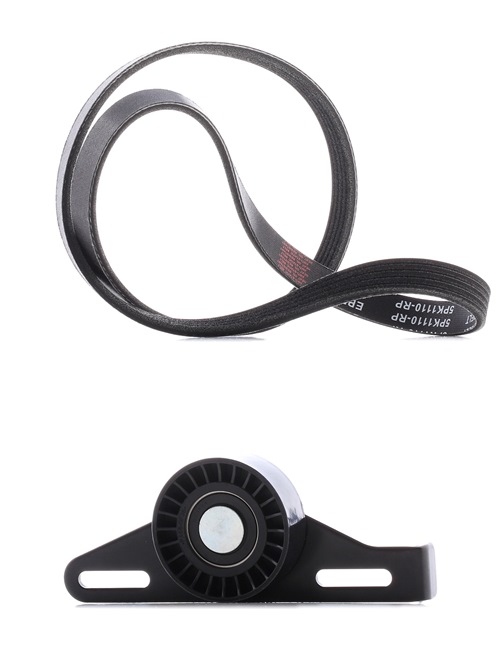 Poly V-riem set (542R0138P) van RIDEX PLUS Voor RENAULT CLIO II (BB0/1/2_, CB0/1/2_) 1.4 16V (B/CB0L) (70 KW / 95 PK / Van 1999)