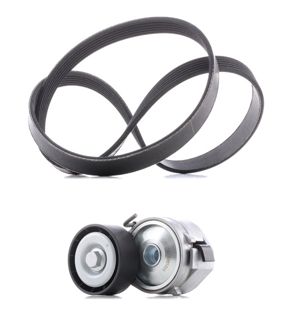 OEM 5751F5 RIDEX PLUS Kileremsett 542R0085P for VW, VOLVO, FORD, PEUGEOT, CITROЁN