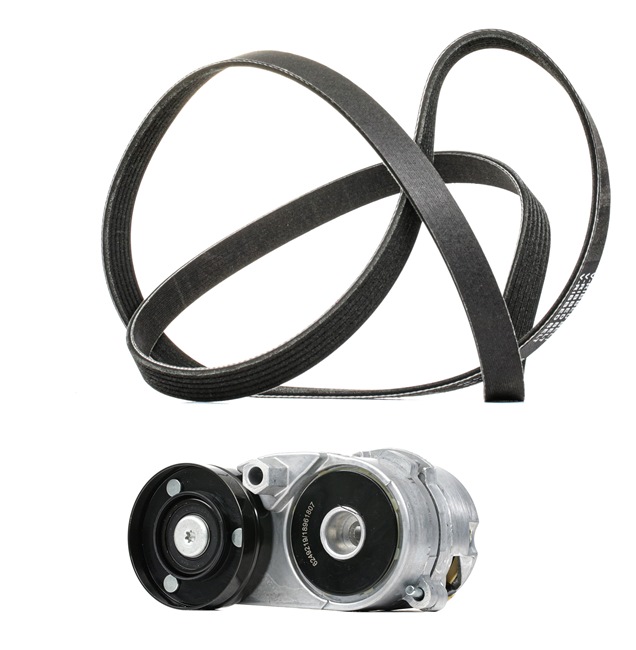 RIDEX PLUS Keilrippenriemensatz (542R0181P) in erstklassiger Qualität für VW PASSAT Variant (3B5) 2.8 V6 (140 KW / 190 PS / de 1999)