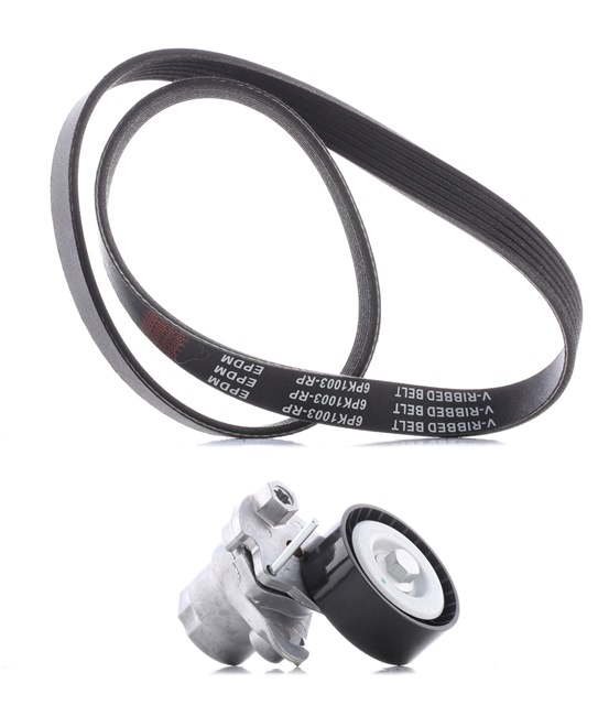 RIDEX PLUS Multiriem 542R0463P