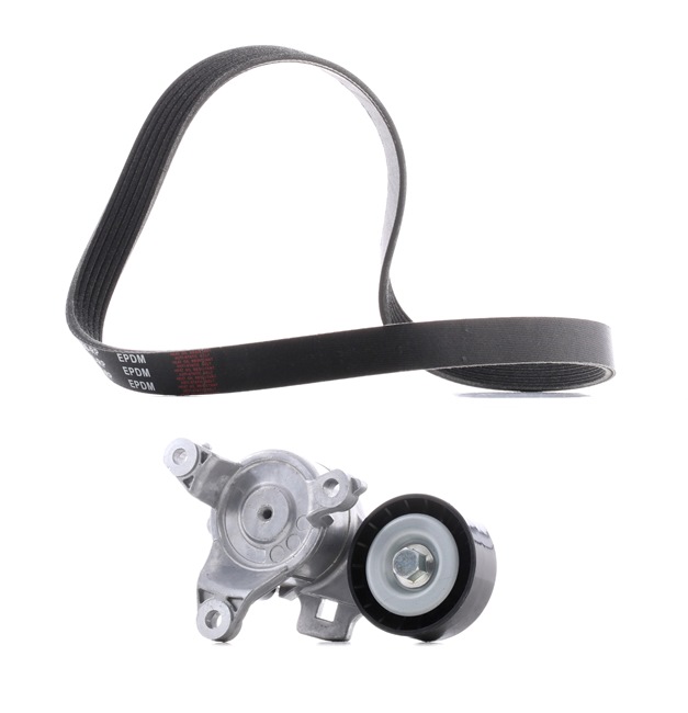 Poly V-riem set (542R0148P) van RIDEX PLUS Voor CITROËN C5 III Station wagon (RW_) 2.0 16V (RWRFJC, RWRFJF) (103 KW / 140 PK / Van 2008)