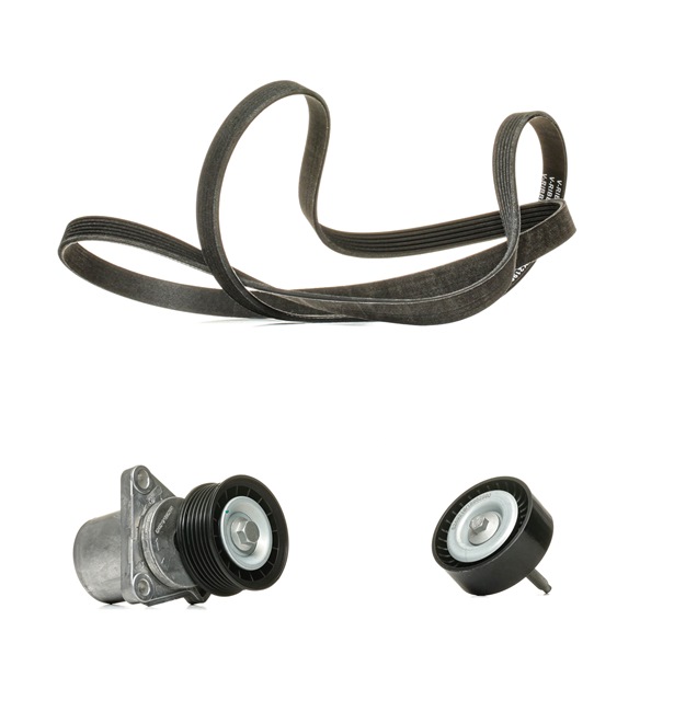 OEM 1371224 RIDEX PLUS V-Ribbed Belt Set 542R0286P for FORD, VOLVO, DAF