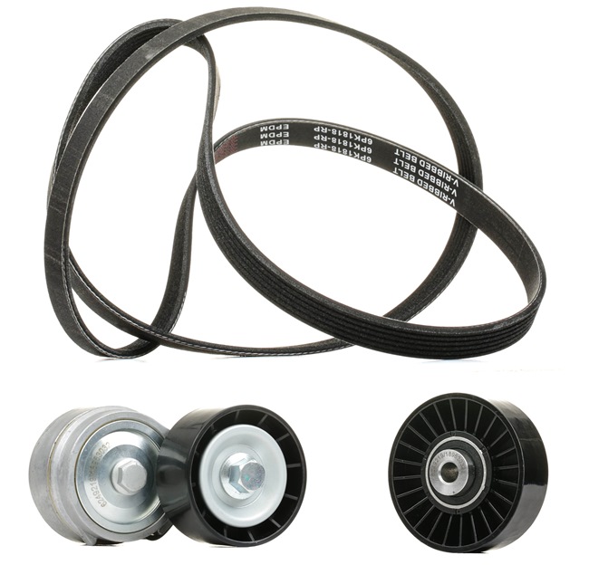 OEM 8200356268 RIDEX PLUS Moniurahihnasarja 542R0165P varten FORD, RENAULT, DACIA, RENAULT TRUCKS