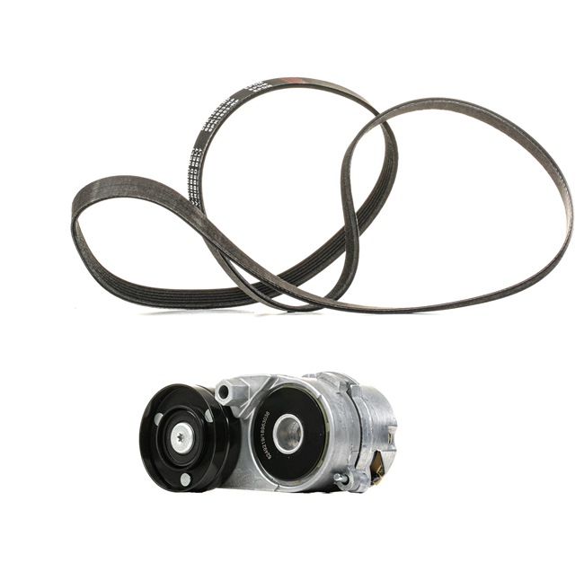 Poly V-riem set (542R0534P) van RIDEX PLUS Voor AUDI A4 Cabrio (8H7, B6, 8HE, B7) 2.4 (125 KW / 170 PK / Van 2002)