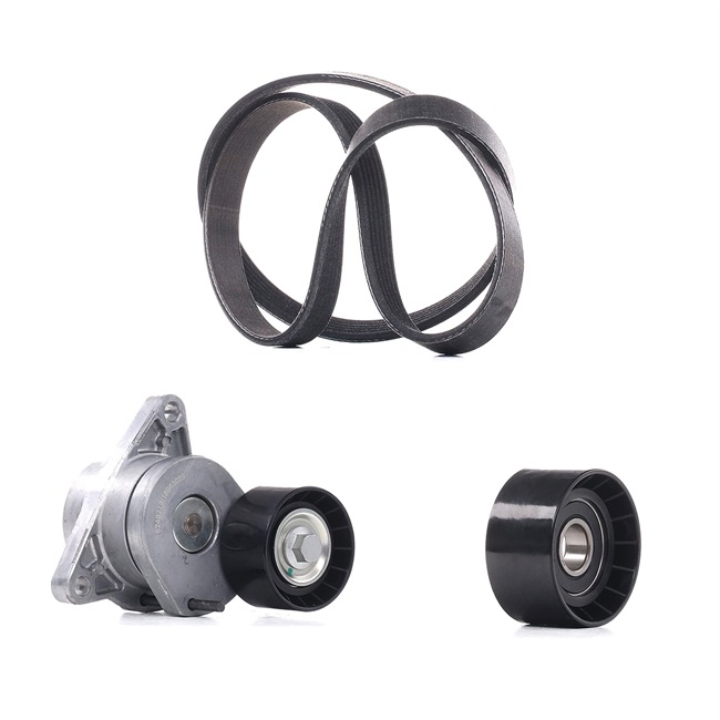 OEM 8200833566 RIDEX PLUS Jeu de courroies trapézoïdales à nervures 542R0550P pour RENAULT, PEUGEOT, VOLKSWAGEN, CITROЁN, BMW